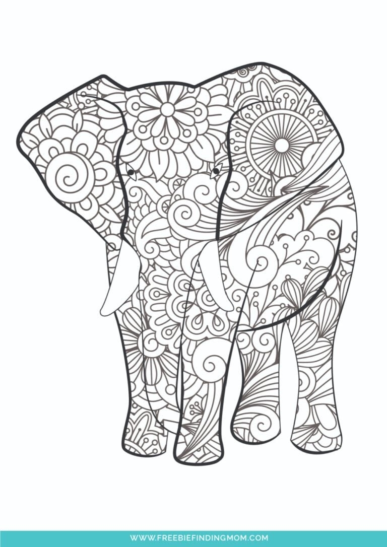 cute animal colouring in pictures cute animal colouring in pictures