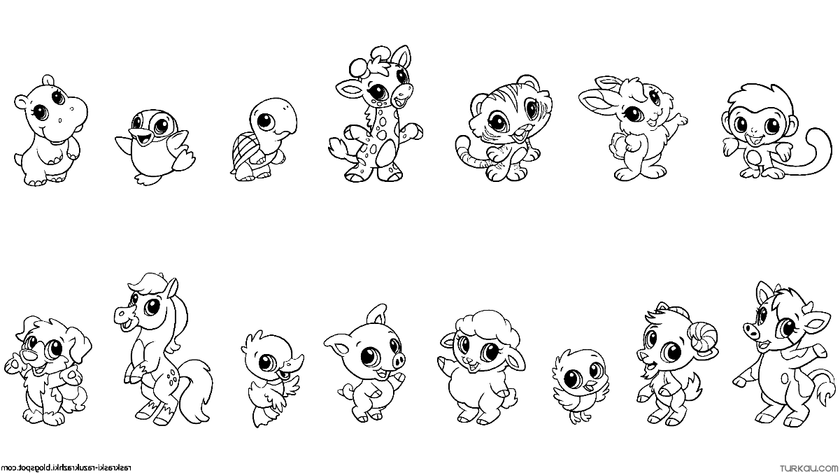 Cute Animals Coloring Pages Turkau Cute Animals Coloring Pages Turkau