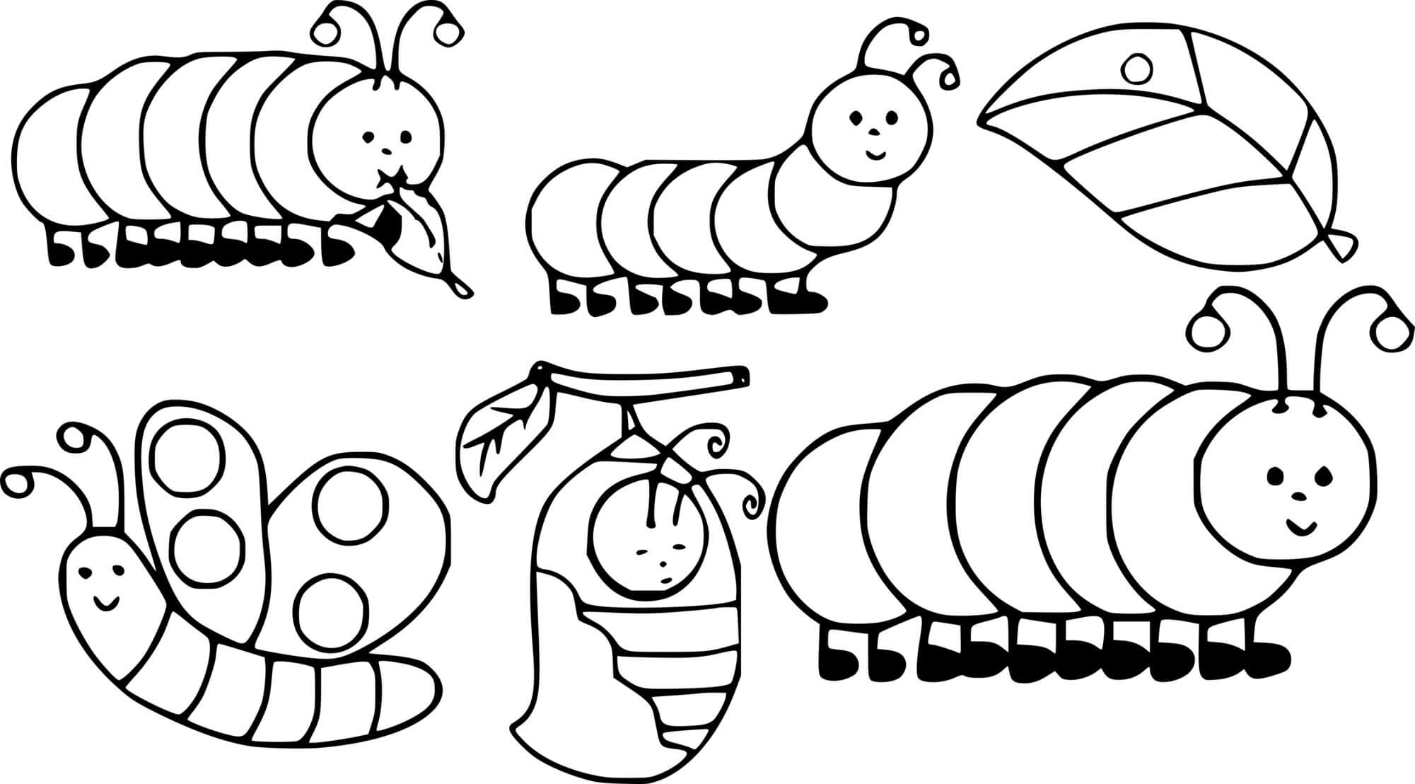 Cute Butterfly Life Circle Coloring Pages Coloring Cool Cute Butterfly Life Circle Coloring Pages Coloring Cool