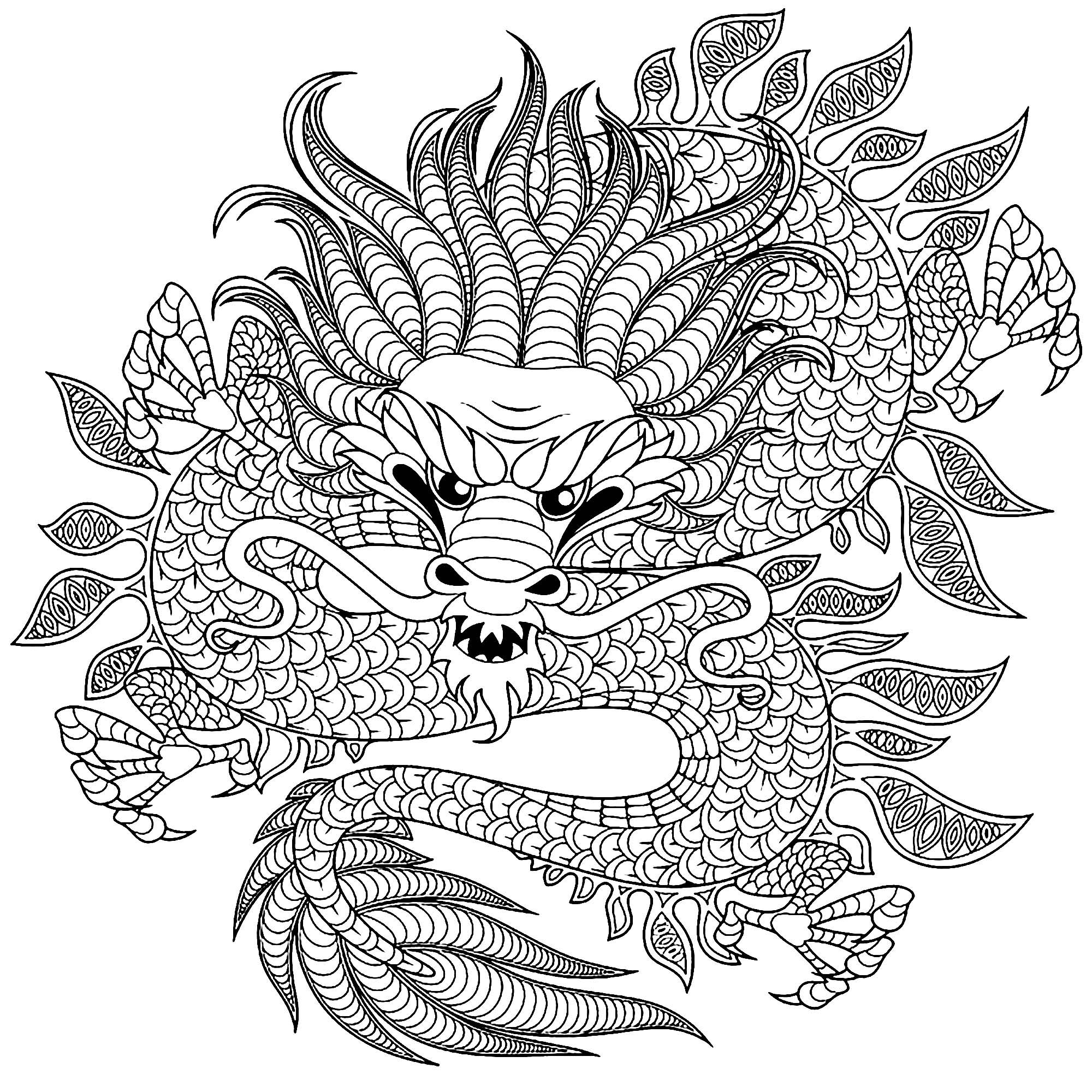 Cute Dragon Adult Coloring Pages Seredesigner Cute Dragon Adult Coloring Pages Seredesigner