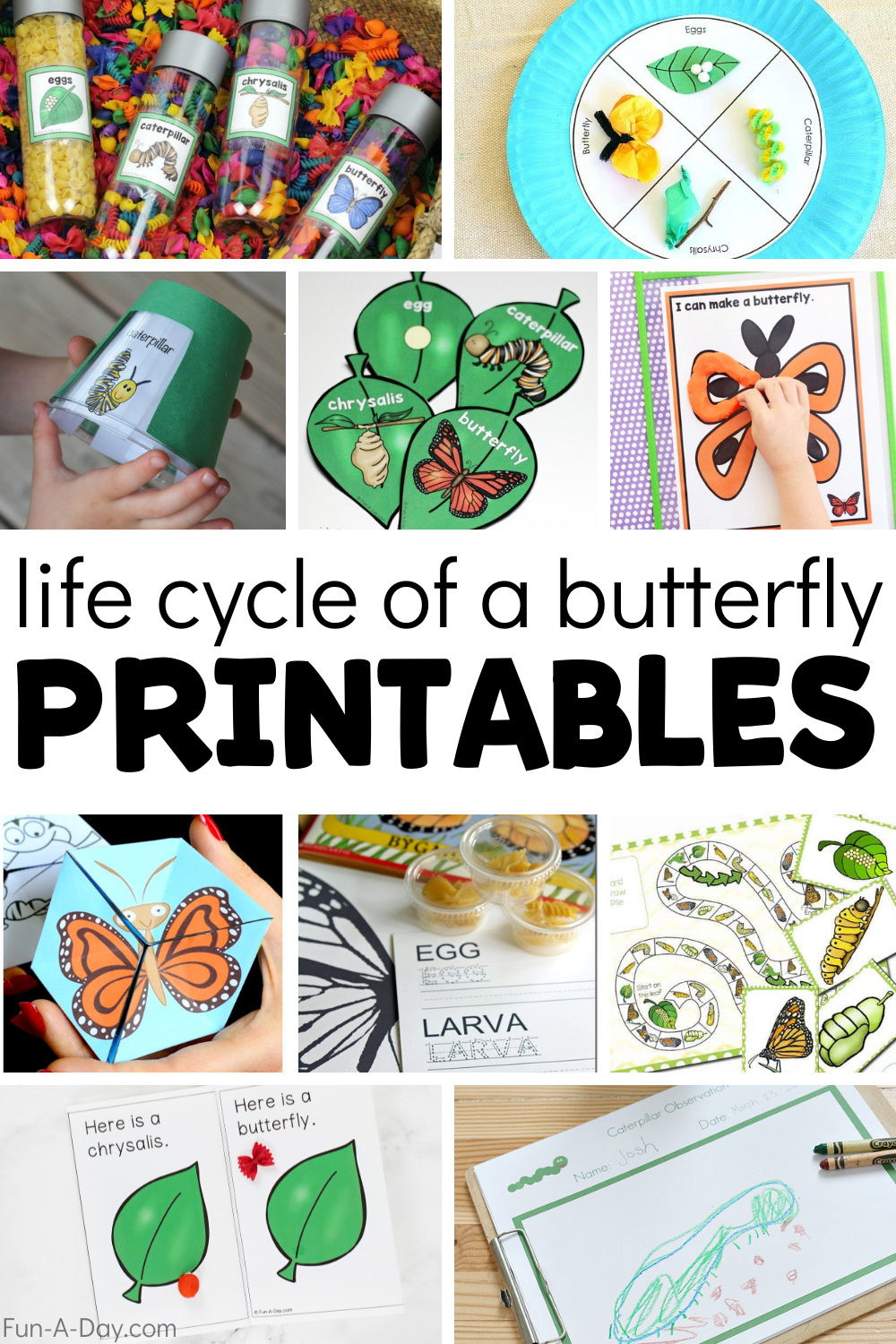 Day 2 Butterfly Design Challenge Elementary Life Cycles Worksheets Day 2 Butterfly Design Challenge Elementary Life Cycles Worksheets