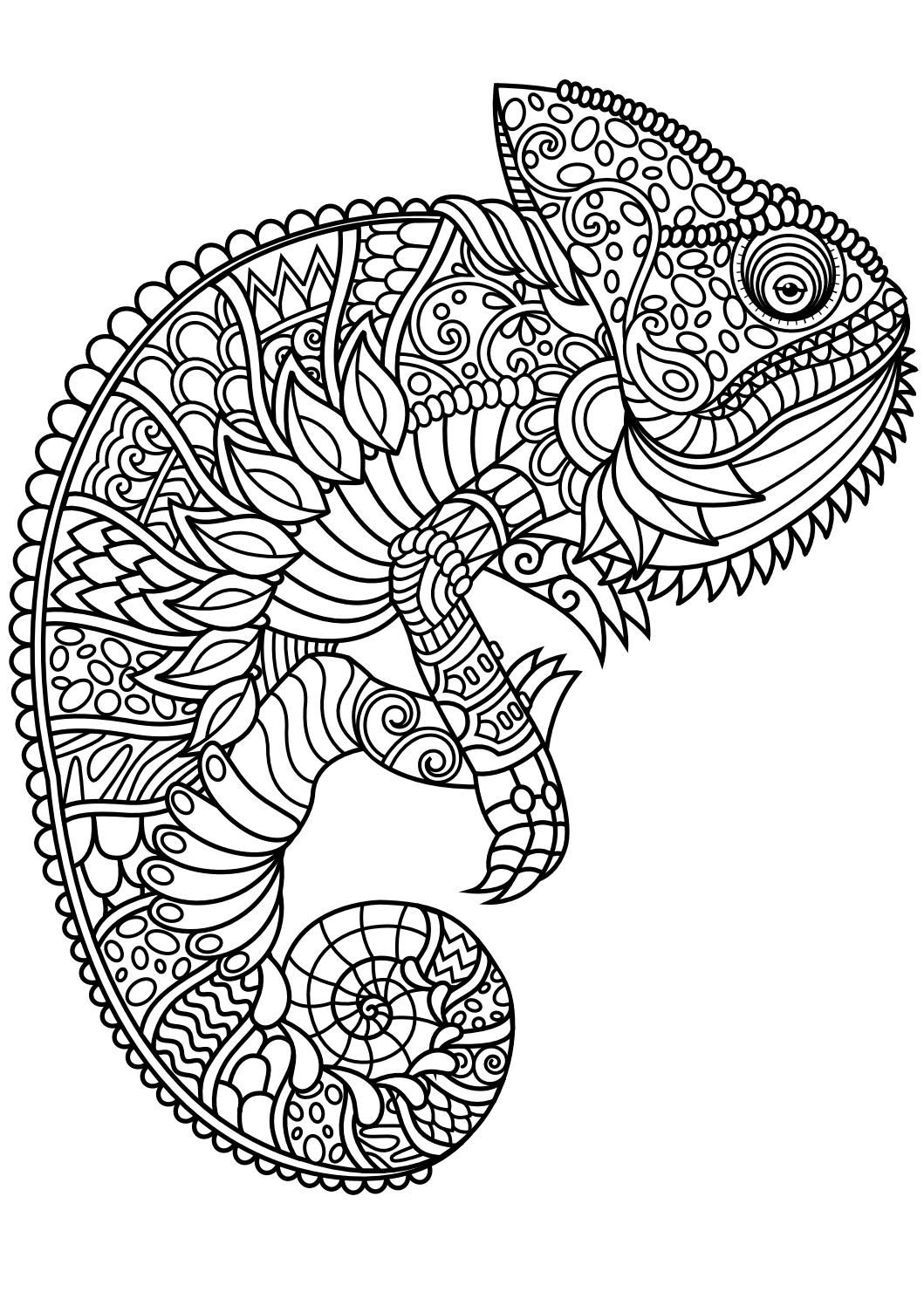 detailed animal coloring pages detailed animal coloring pages
