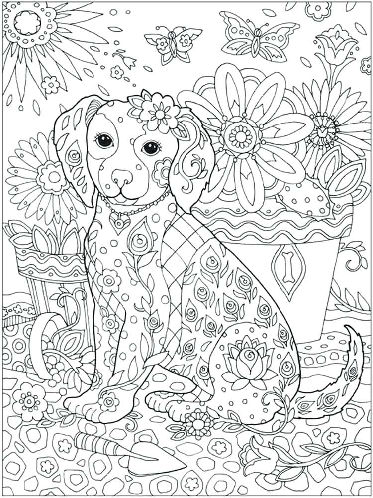 detailed animal colouring pictures detailed animal colouring pictures