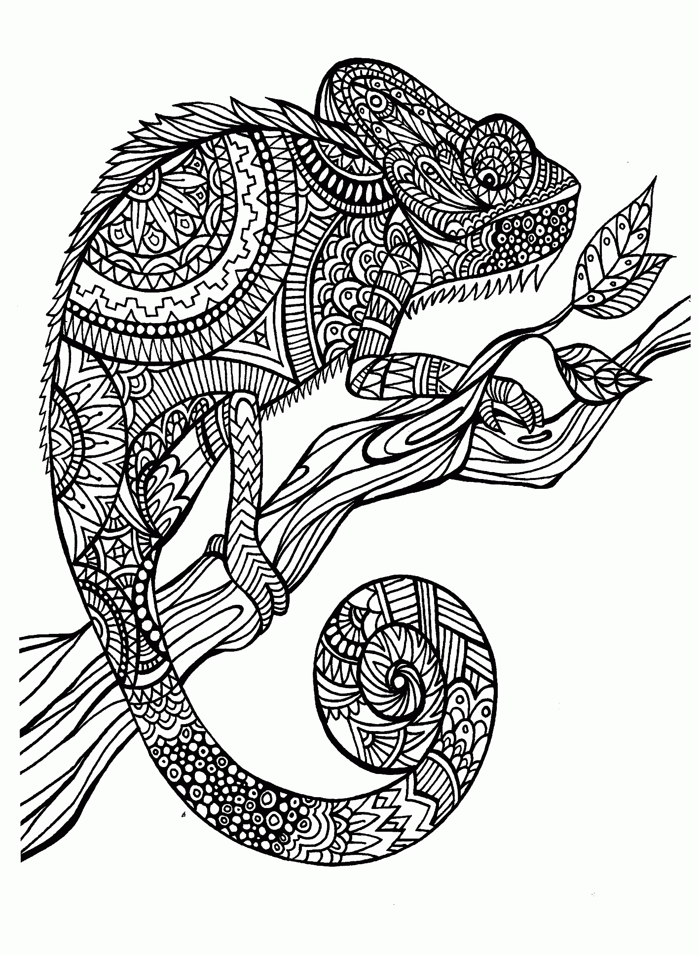 Detailed Animal Coloring Pages For Adults Coloring Home Detailed Animal Coloring Pages For Adults Coloring Home
