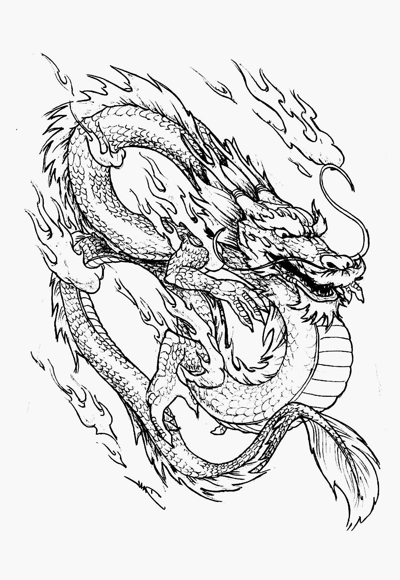 Detailed Dragon Coloring Pages Medreka Detailed Dragon Coloring Pages Medreka