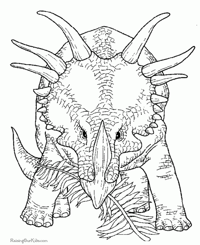 Dinosaur Coloring Sheet Triceratops Dinosaur Coloring Sheet Triceratops