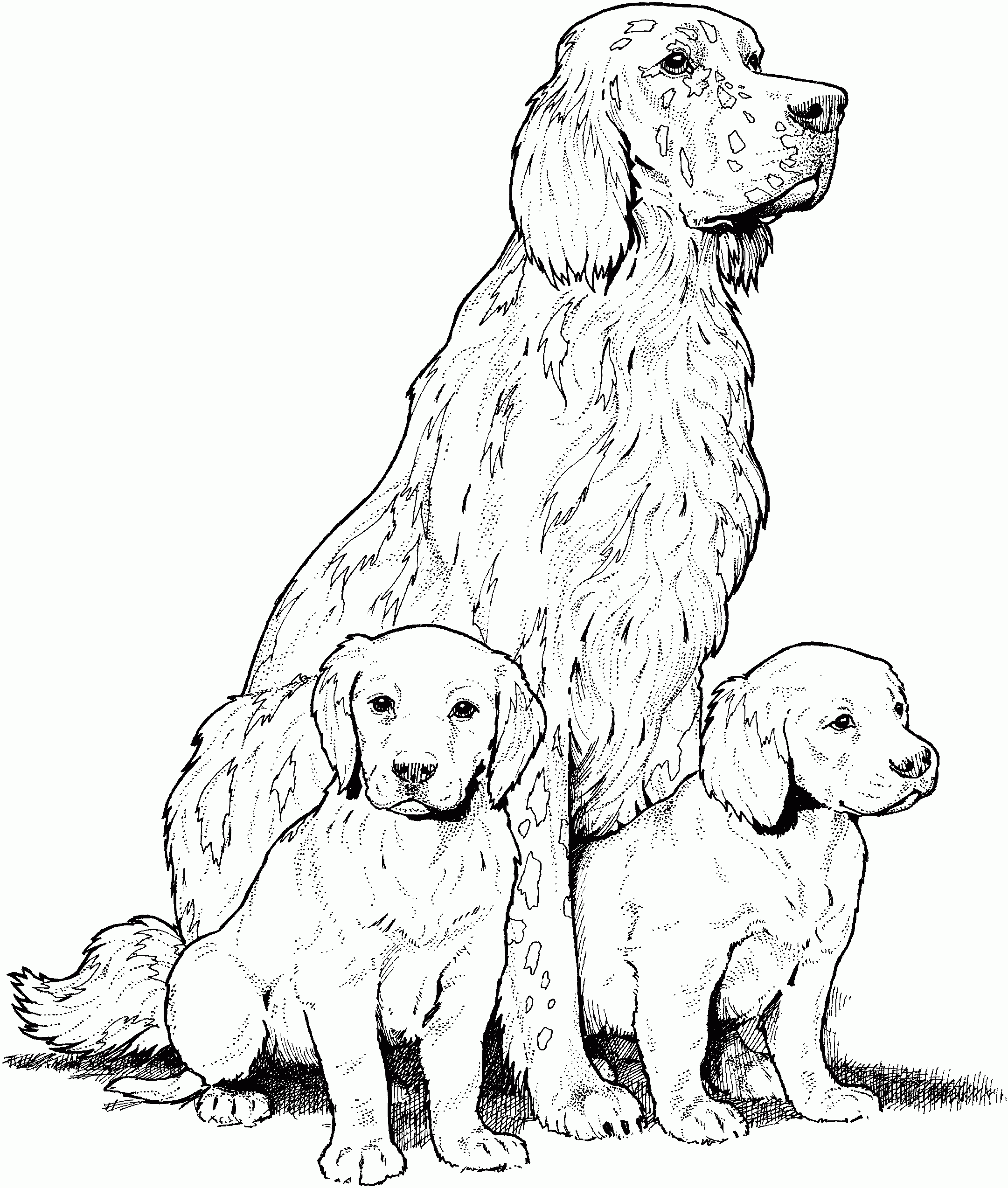 Dog Coloring Pages For Adults Best Coloring Pages For Kids Dog Coloring Pages For Adults Best Coloring Pages For Kids
