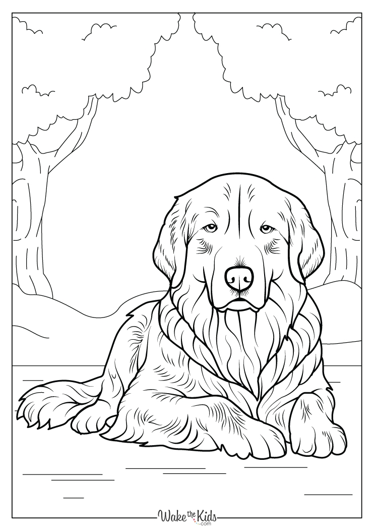 dog coloring sheets dog coloring sheets