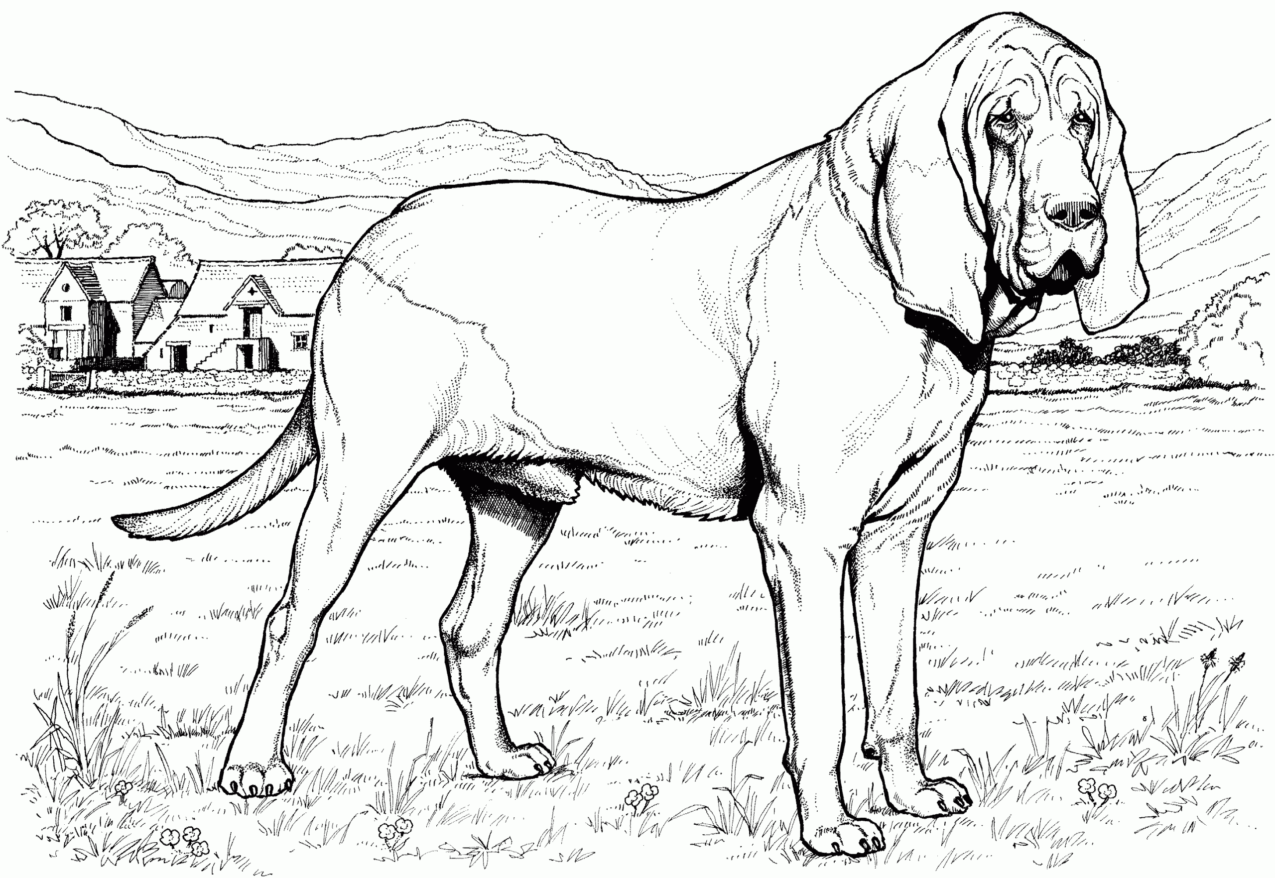 dog coloring pages printable adult dog coloring pages printable adult