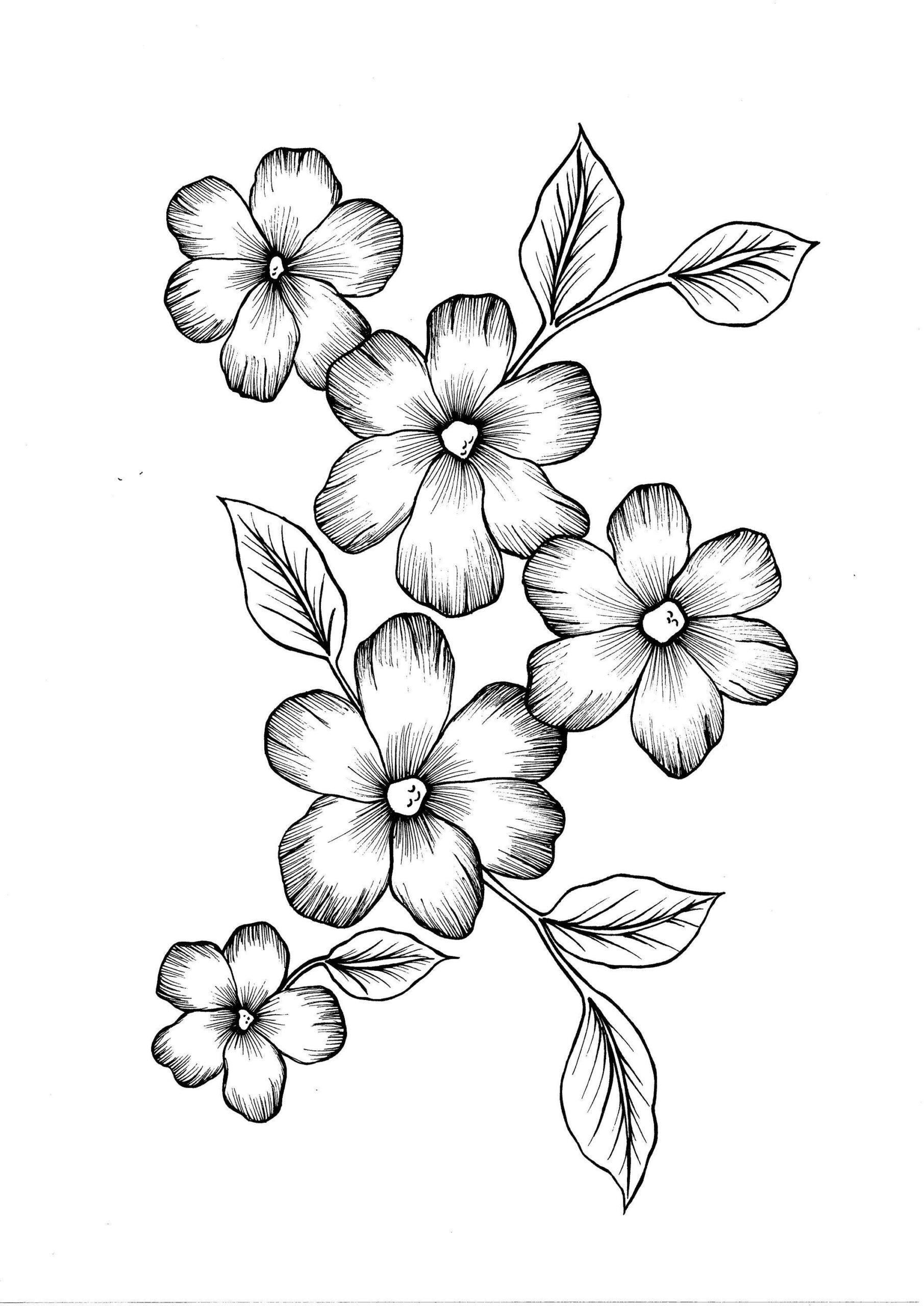 Doodle Drawings Of Flowers FLOWERSXC Doodle Drawings Of Flowers FLOWERSXC