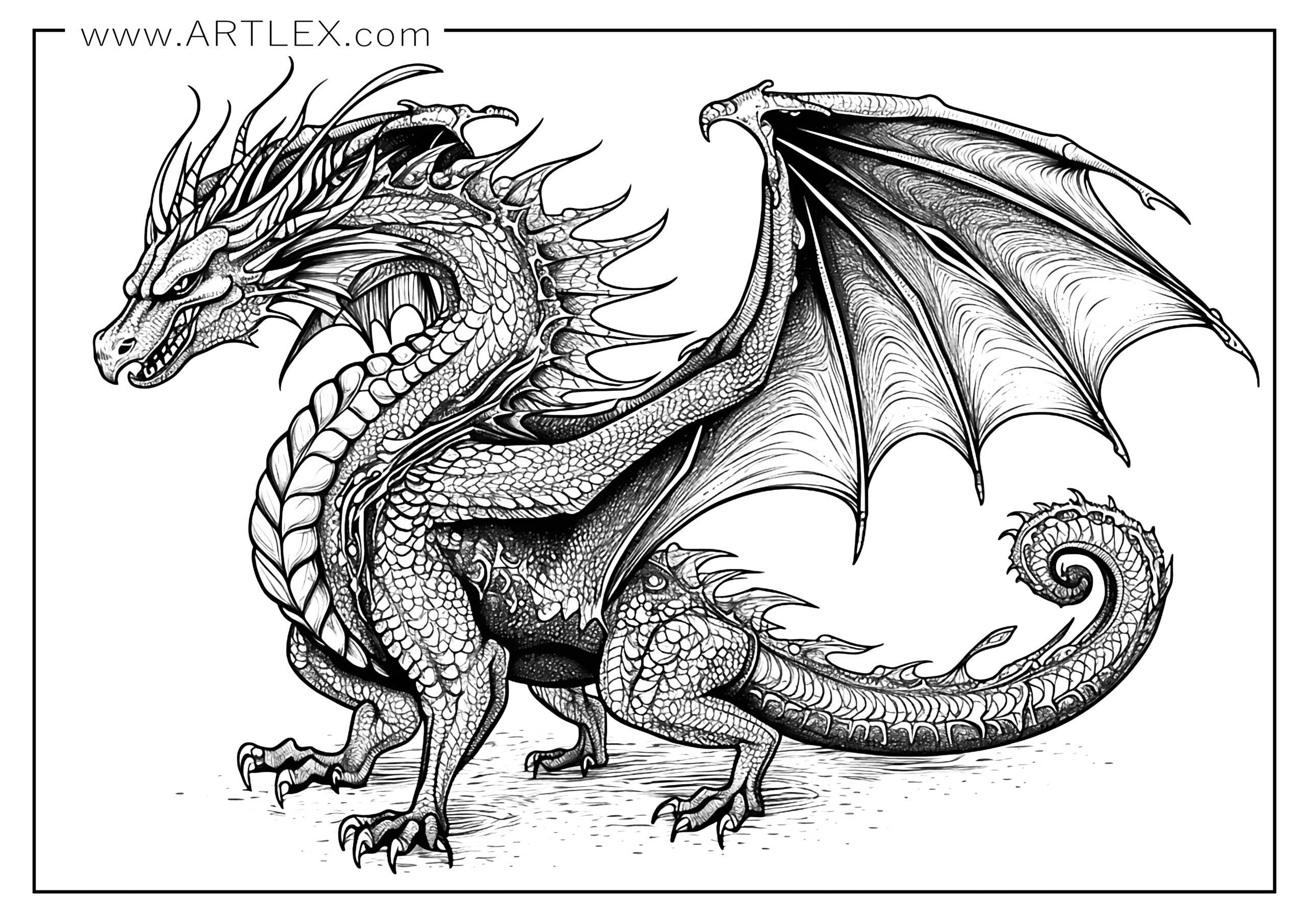 dragon coloring sheet dragon coloring sheet