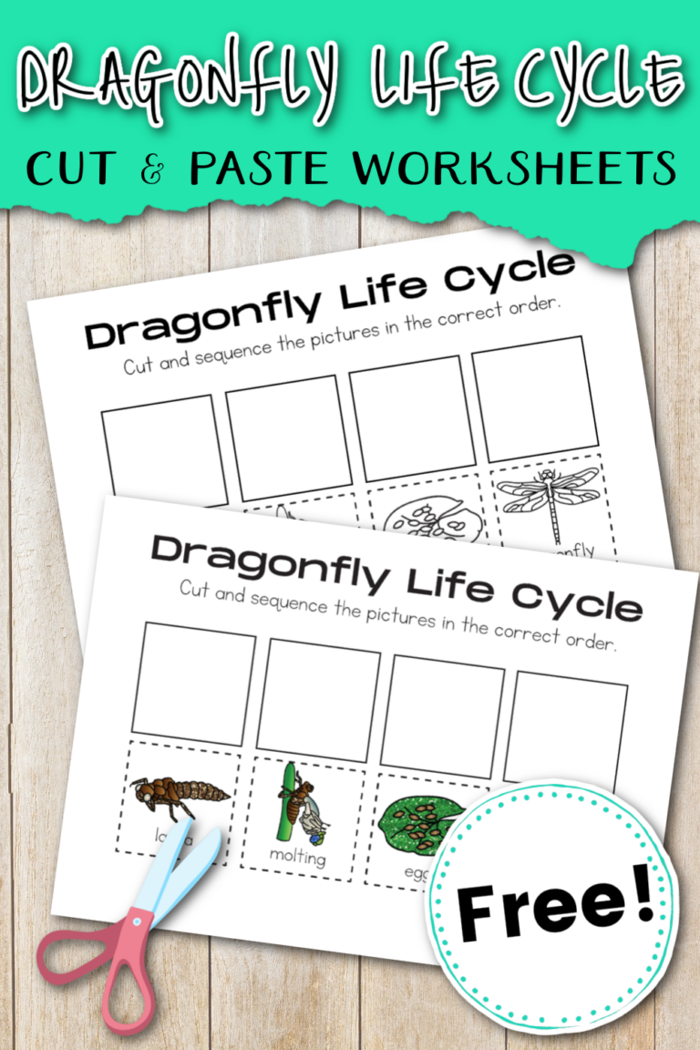 Dragonfly Life Cycle Worksheet Dragonfly Life Cycle Worksheet