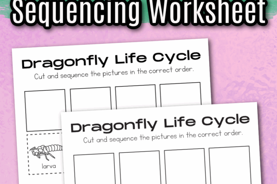 Dragonfly Life Cycle Worksheet