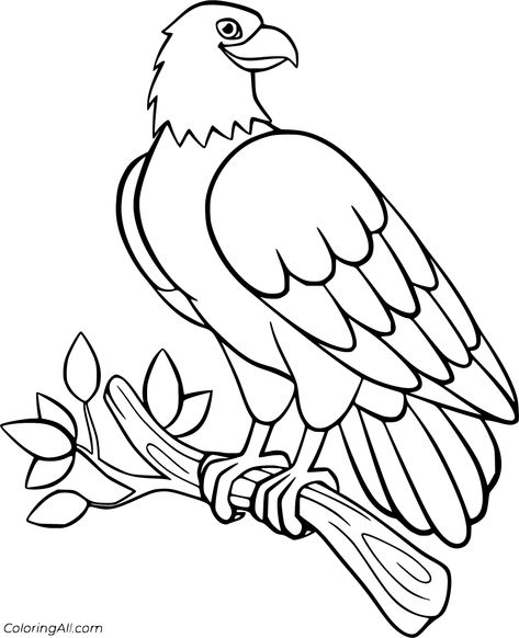 Eagle Coloring Pages Eagle Coloring Pages