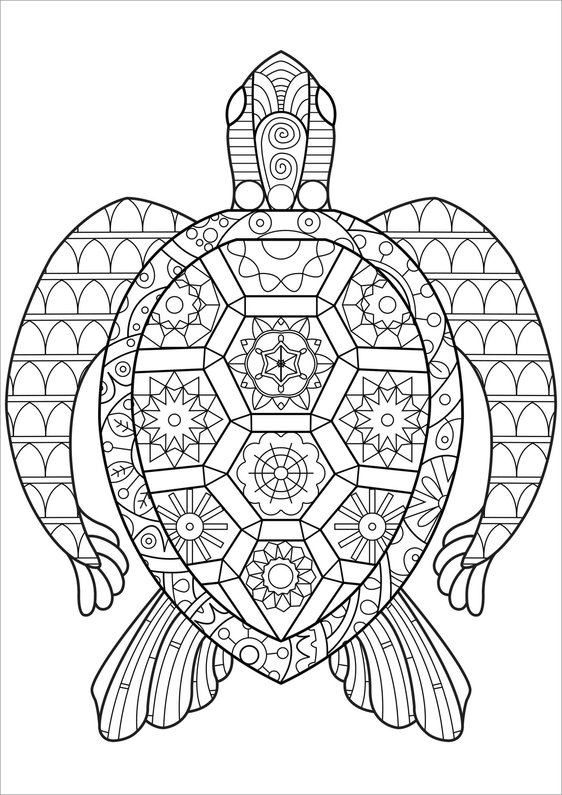 Easy Sea Turtle Coloring Pages For Kids ColoringBay Easy Sea Turtle Coloring Pages For Kids ColoringBay