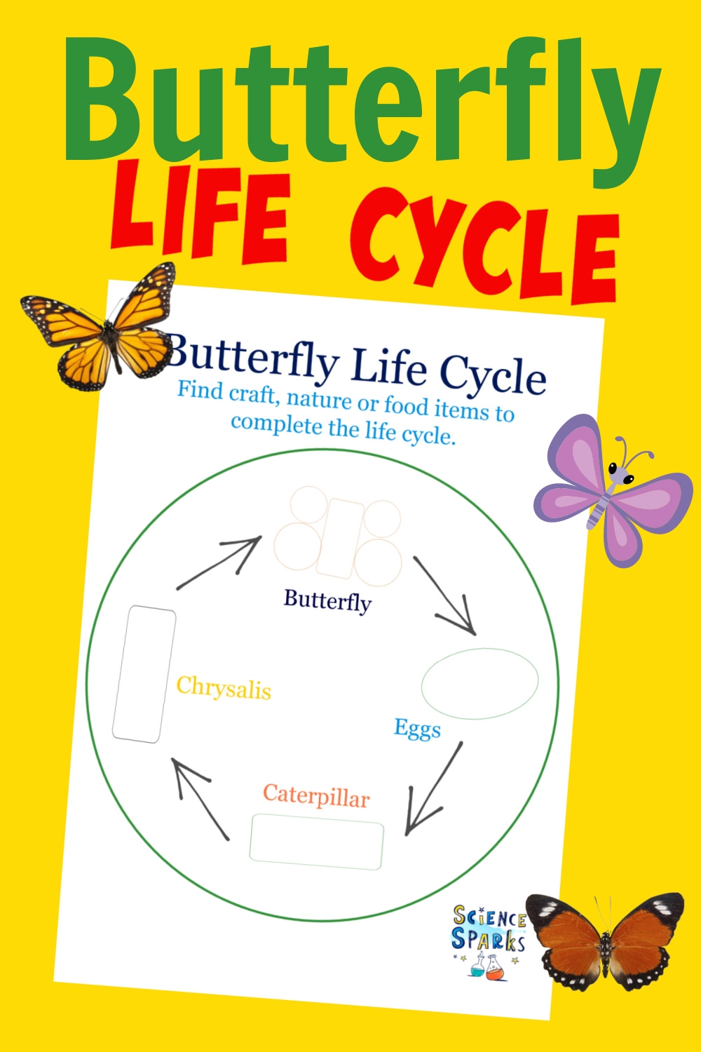 Edible Butterfly Life Cycle Life Cycles Science Sparks Edible Butterfly Life Cycle Life Cycles Science Sparks