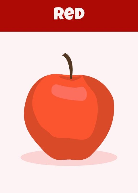 Editable Flashcard Template In Word Google Docs PDF Download Editable Flashcard Template In Word Google Docs PDF Download