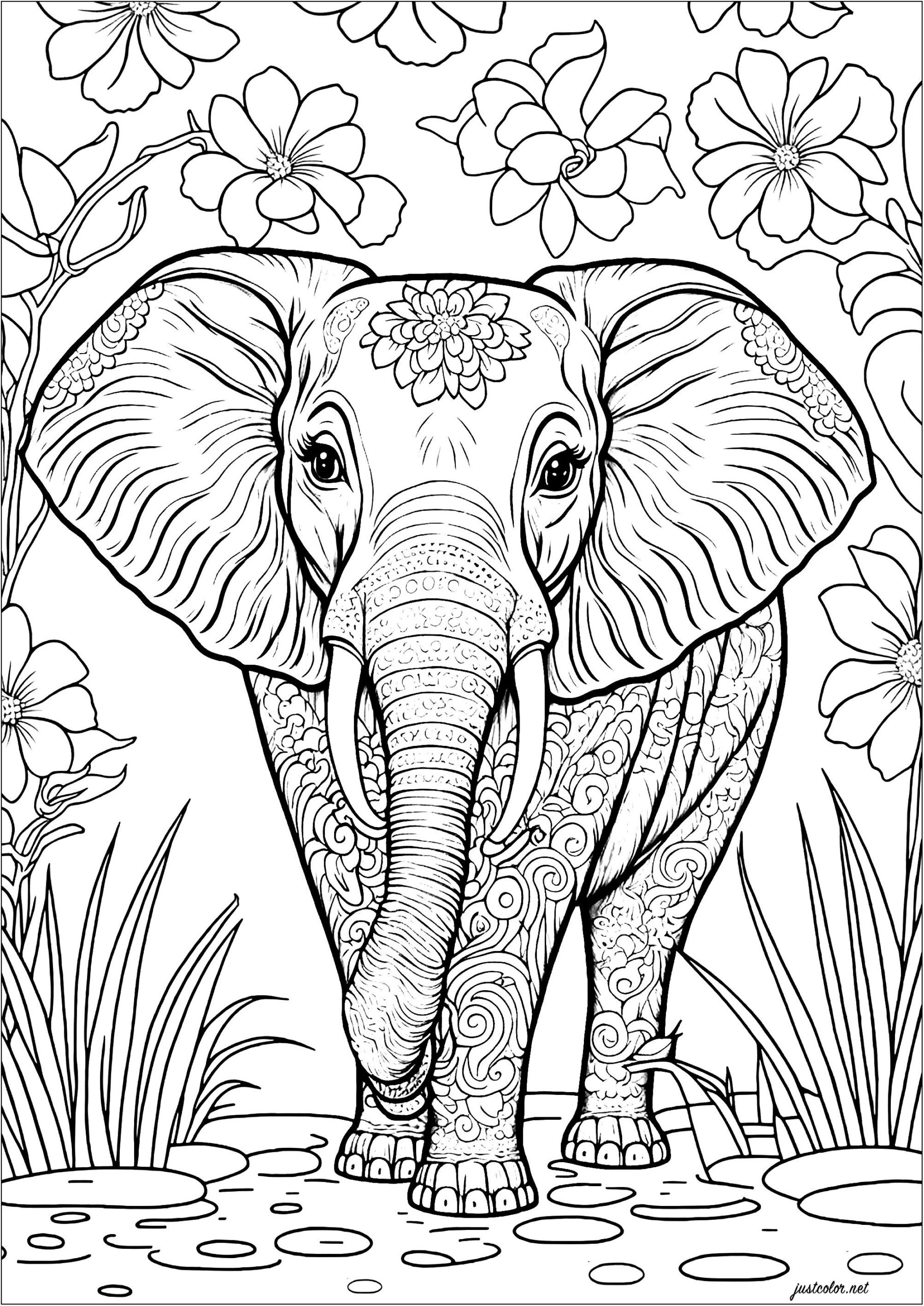 Elephant And Flowers Free Coloring Page Elephant And Flowers Free Coloring Page