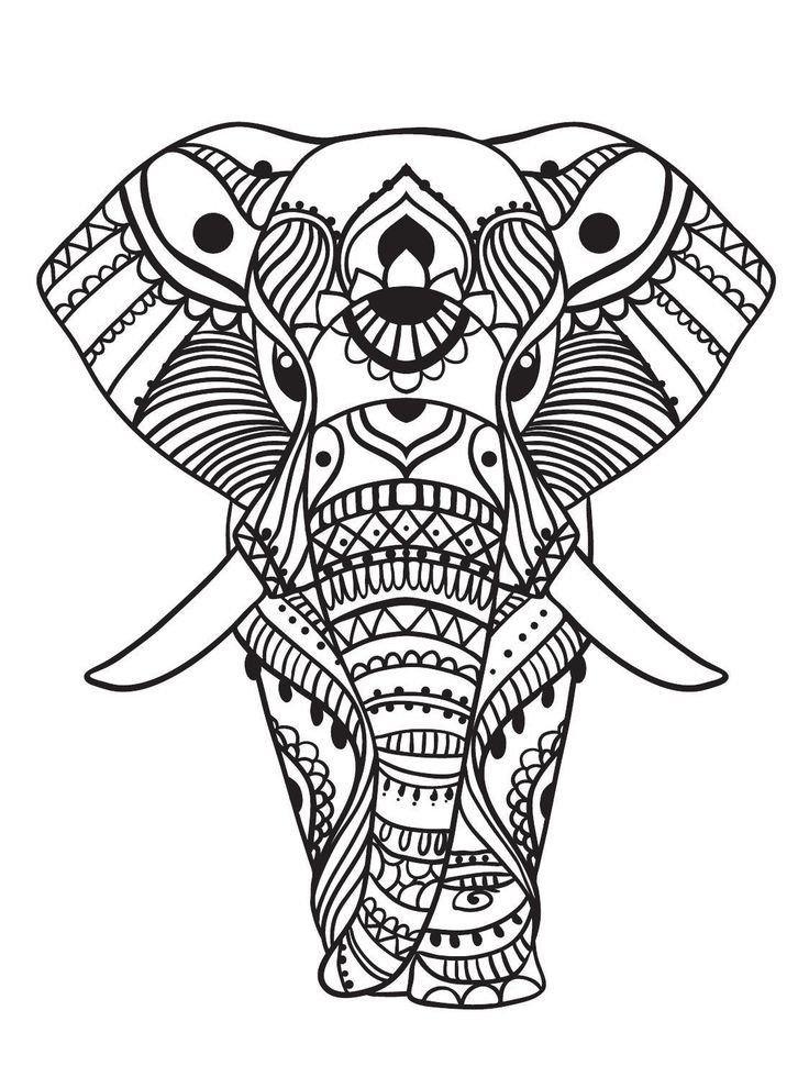 Elephant Coloring Pages For Adults Best Coloring Pages For Kids Elephant Coloring Pages For Adults Best Coloring Pages For Kids