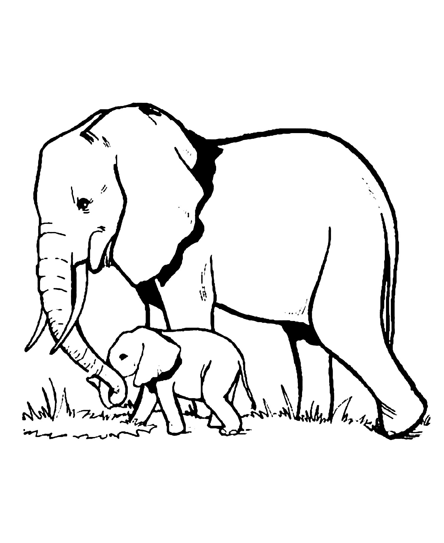 Elephant Coloring Pages To Download For Free Elephants Kids Coloring Elephant Coloring Pages To Download For Free Elephants Kids Coloring