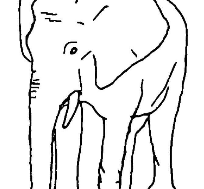 Elephant Free Coloring Page Download Print Or Color Online For Free