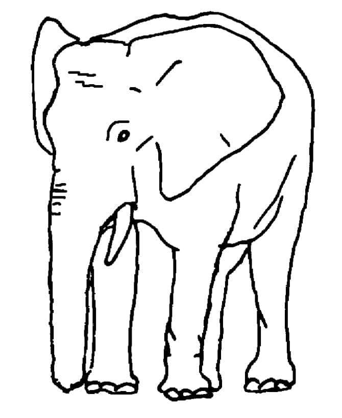 Elephant Free Coloring Page Download Print Or Color Online For Free Elephant Free Coloring Page Download Print Or Color Online For Free