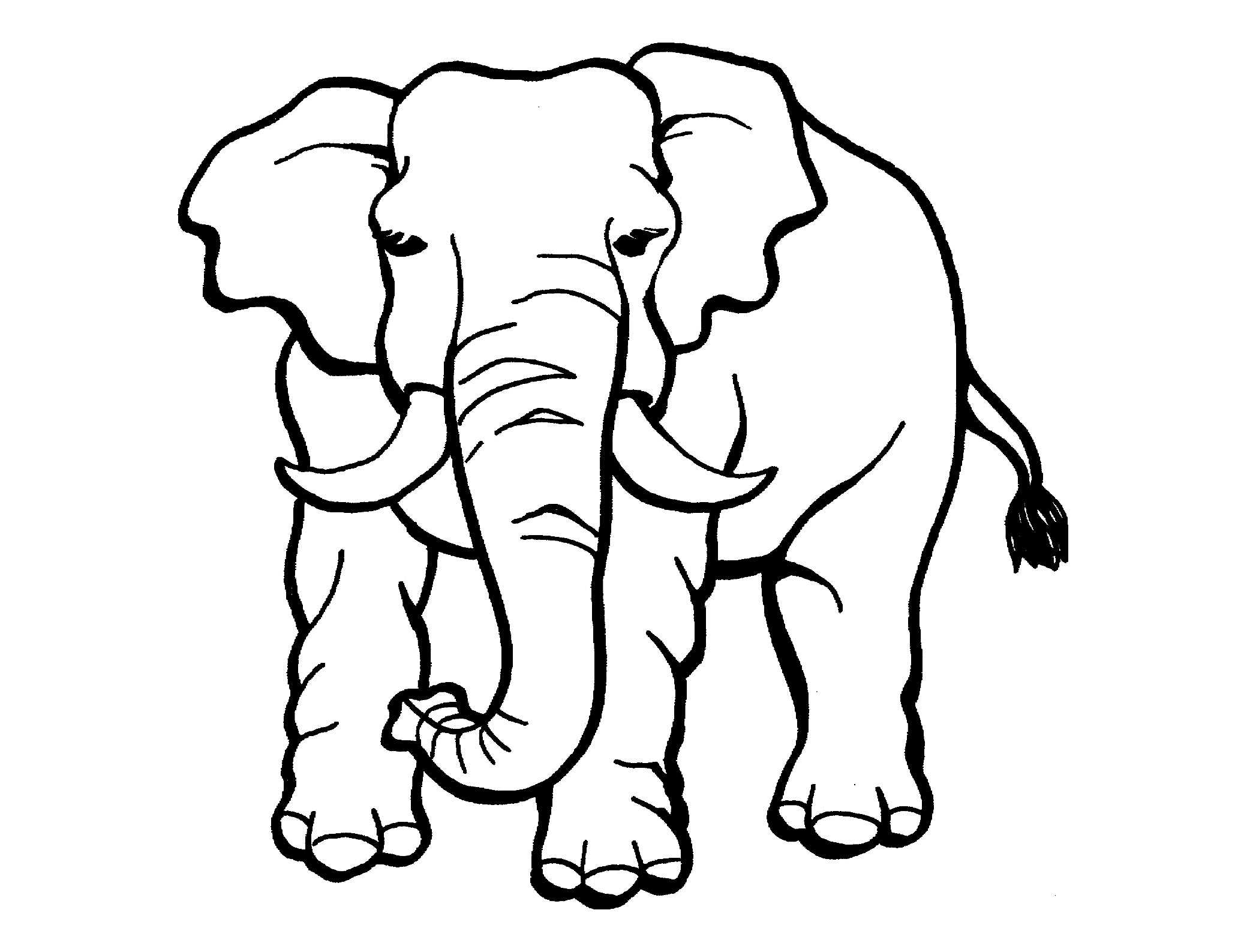 free coloring sheets of elephants free coloring sheets of elephants