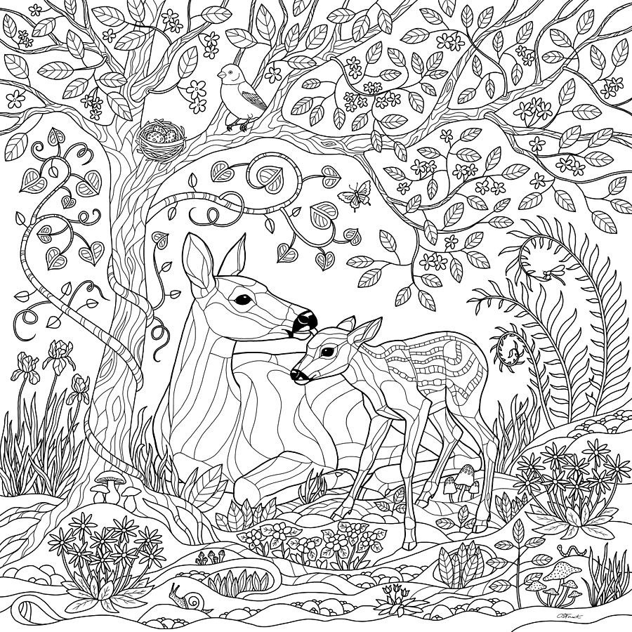 fall coloring sheets for adults fall coloring sheets for adults