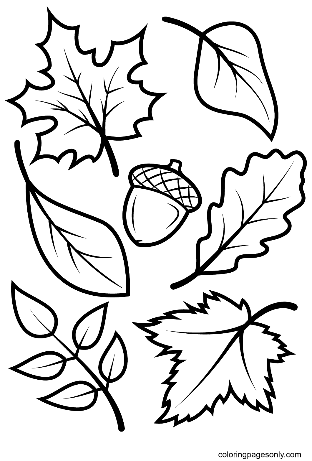 Fall Leaves And Acorn Coloring Page Free Printable Coloring Pages Fall Leaves And Acorn Coloring Page Free Printable Coloring Pages