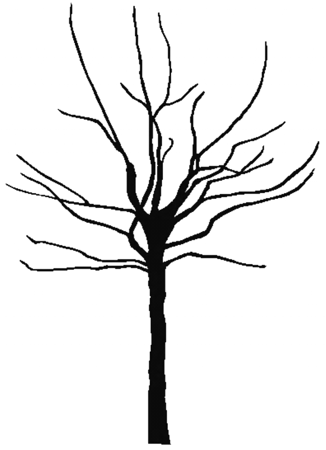 Color Page of Family Color Page of Family