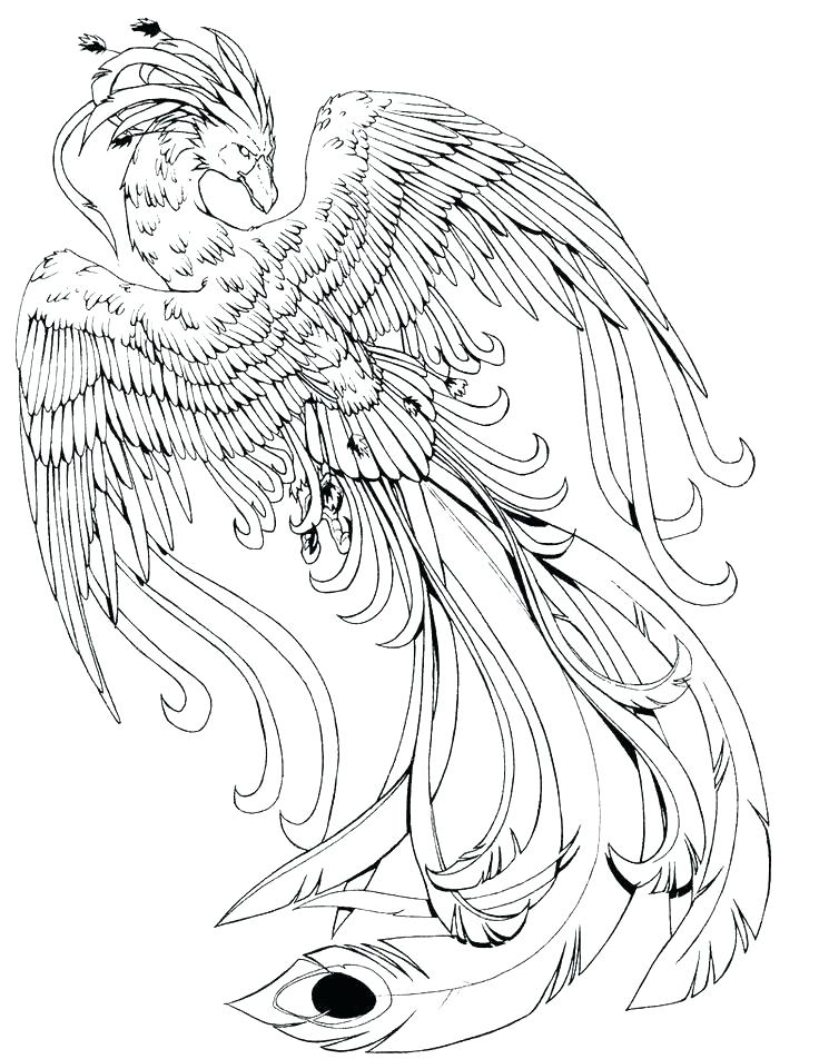 cute creatures coloring page cute creatures coloring page