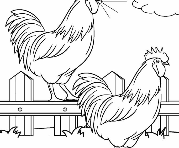 Farm Animal Coloring Pages Realistic