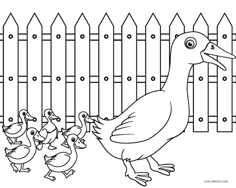 Farm Animal Coloring Pages Realistic