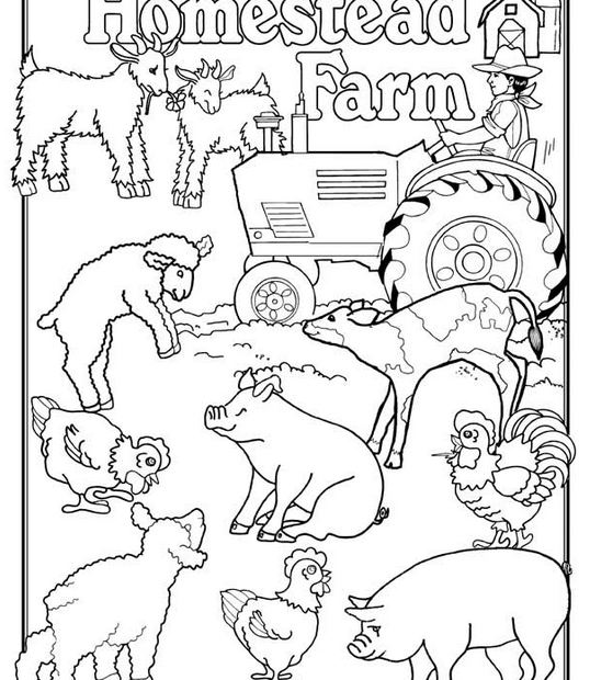 Farm Animals Coloring Page Coloring Page Book