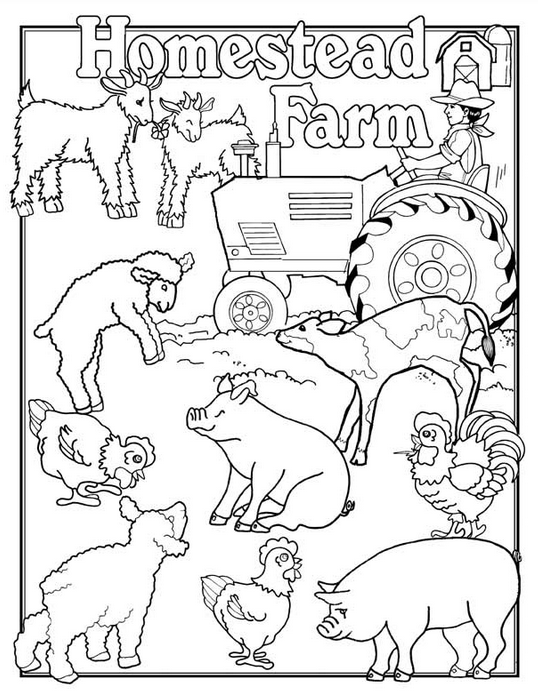 Farm Animals Coloring Page Coloring Page Book Farm Animals Coloring Page Coloring Page Book
