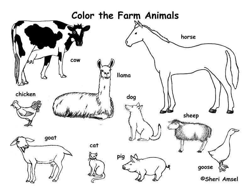 Farm Animals Coloring Page Farm Animals Coloring Page