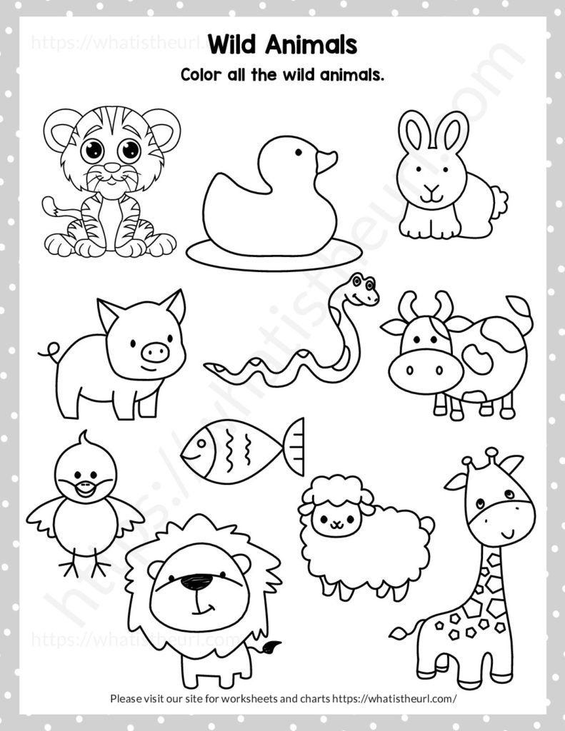 Find And Color The Wild Animals Your Home Teacher Find And Color The Wild Animals Your Home Teacher