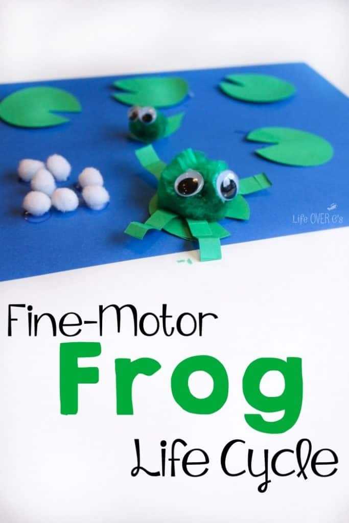 Frog Life Cycle Craft Frog Life Cycle Craft