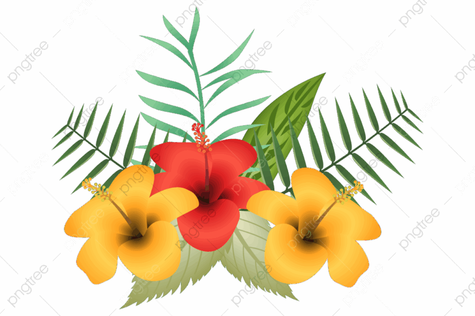 Flor Moana PNG Transparent Images Free Download Vector Files Pngtree