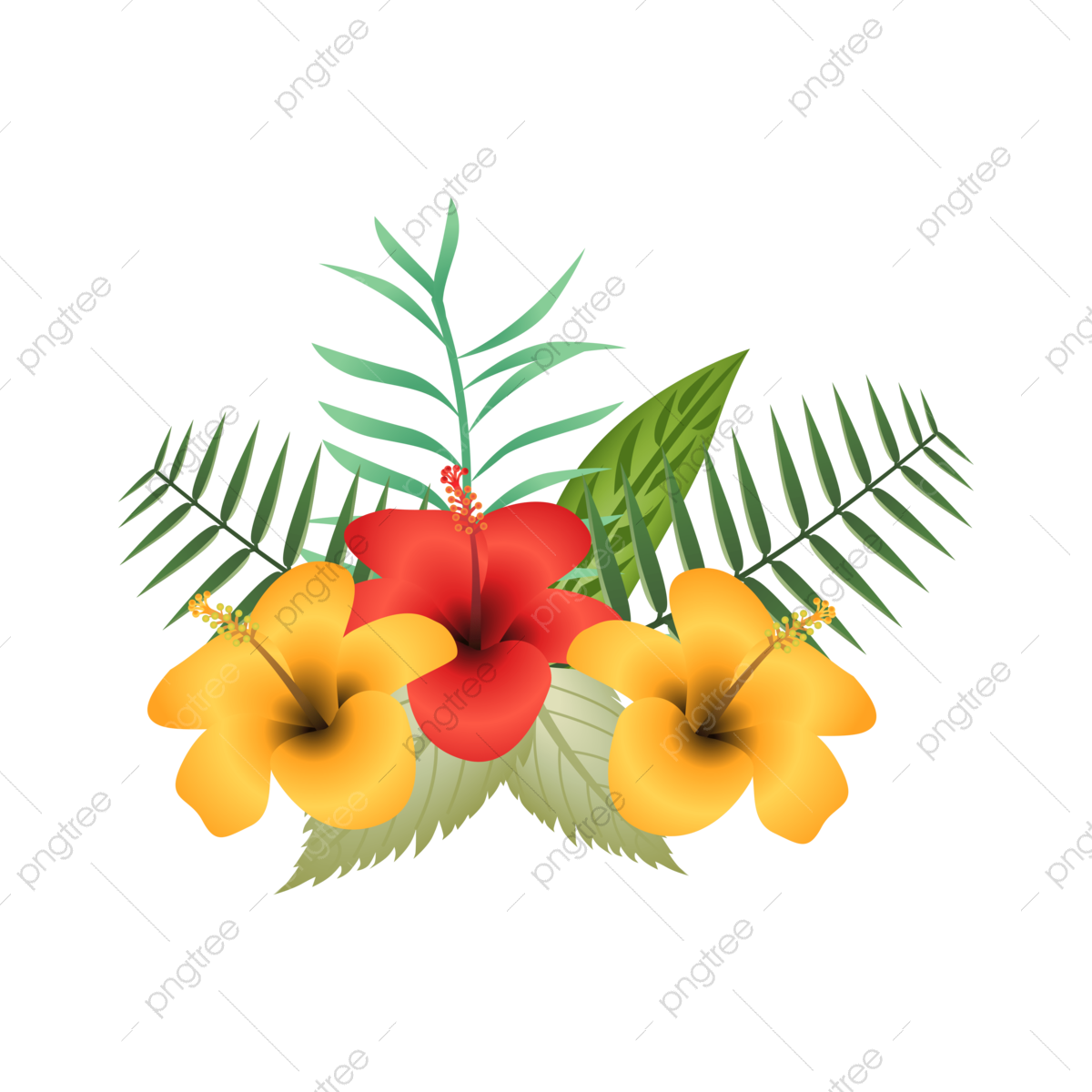 Flor Moana PNG Transparent Images Free Download Vector Files Pngtree Flor Moana PNG Transparent Images Free Download Vector Files Pngtree