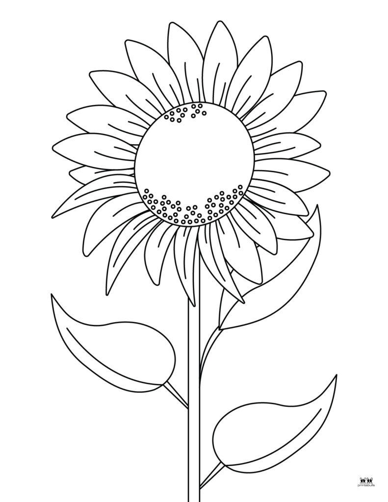 printable flowers coloring pages printable flowers coloring pages