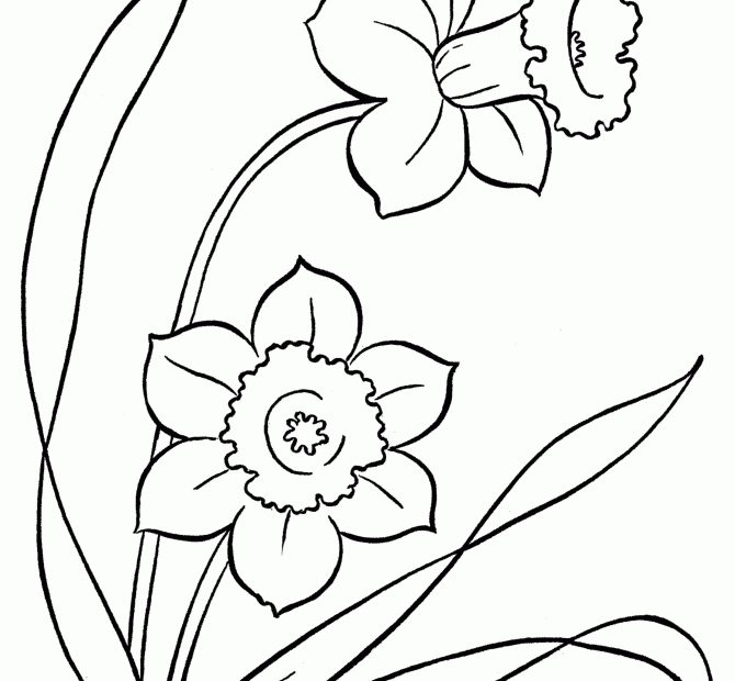 Flower Coloring Pages To Color