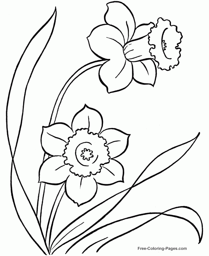 Flower Coloring Pages To Color Flower Coloring Pages To Color