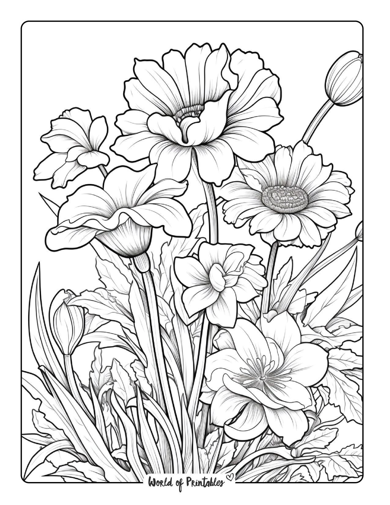 Flower Coloring Sheets Free Printable Flower Coloring Sheets Flower Coloring Sheets Free Printable Flower Coloring Sheets