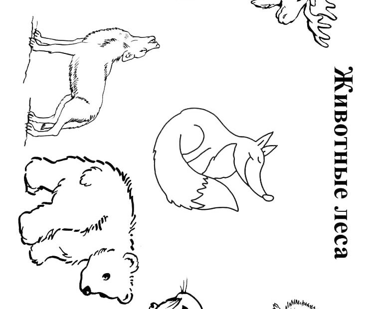 Forest Animals Coloring Pages