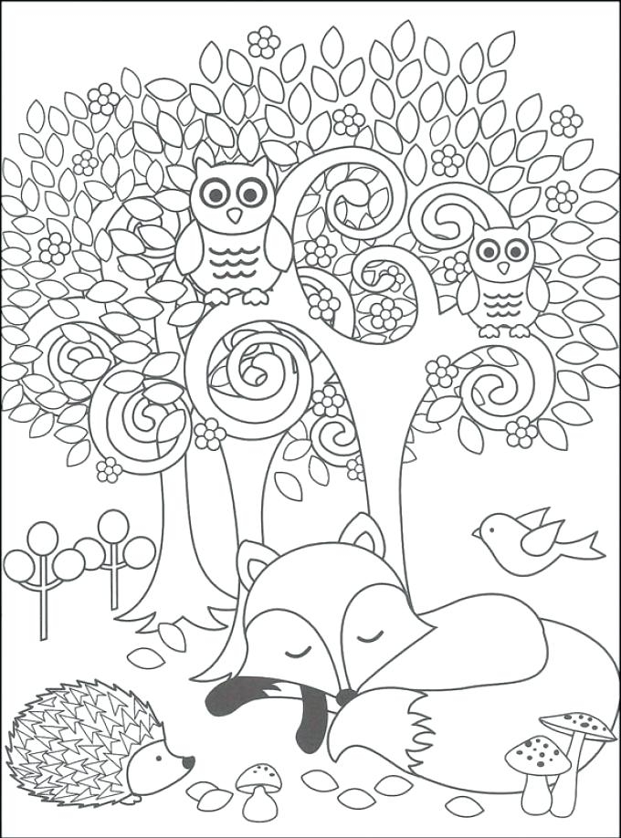 printable forest animals coloring pages printable forest animals coloring pages