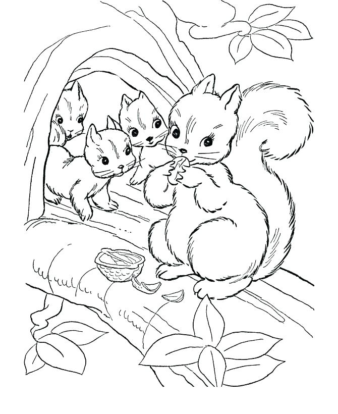 Forest Animals Coloring Pages At GetColorings Free Printable Forest Animals Coloring Pages At GetColorings Free Printable