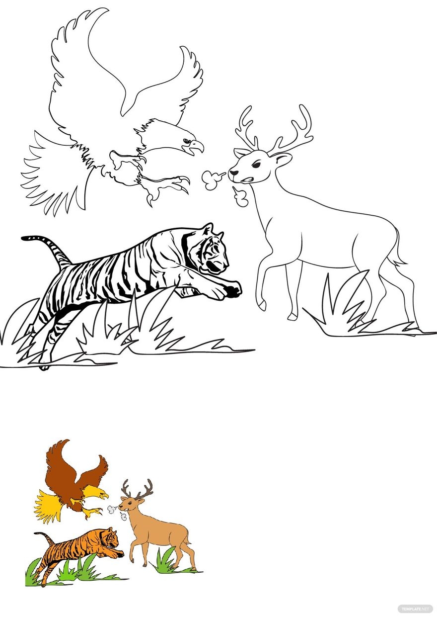 Forest Animals Coloring Pages In PDF Download Template Forest Animals Coloring Pages In PDF Download Template