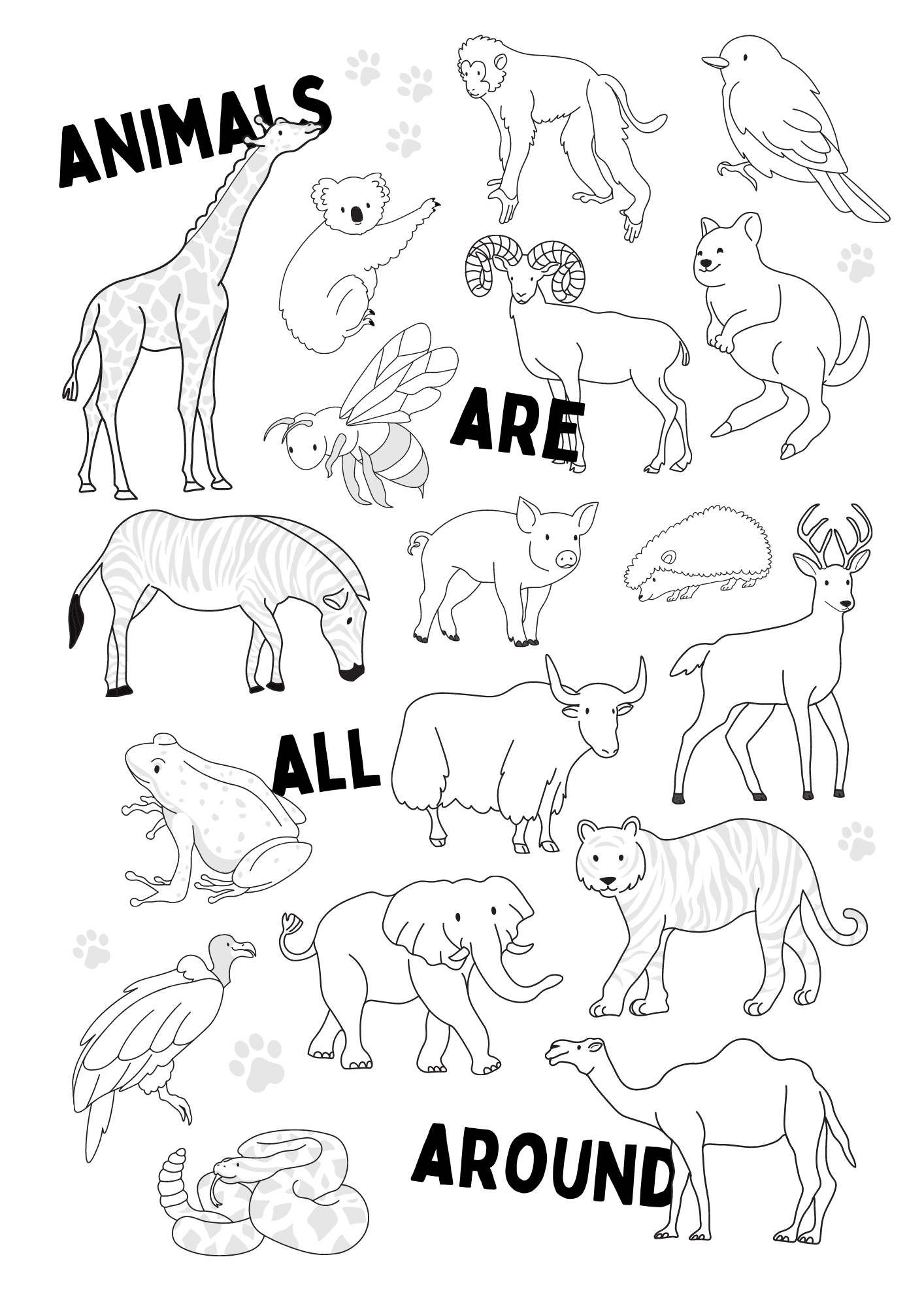 free printable coloring sheets animals free printable coloring sheets animals