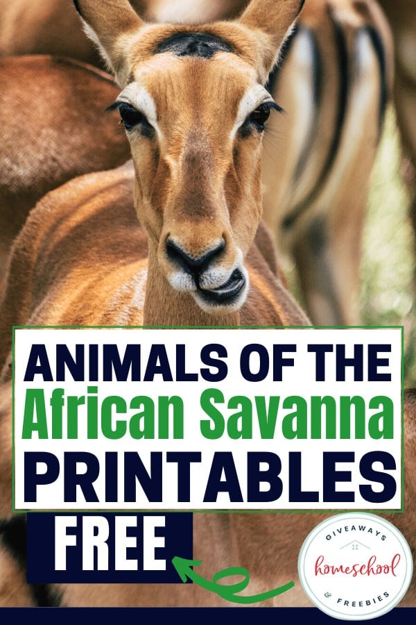 FREE Animals Of The African Savanna Printables FREE Animals Of The African Savanna Printables